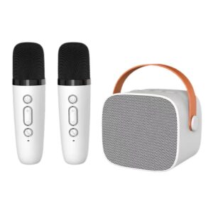 Bluetooth karaoke speaker with two microphone